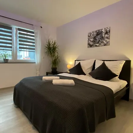 Staycozy Bike&Ski Apartments, Barrierefrei, Free Wifi, Erdgeschoss Winterberg Exterior photo